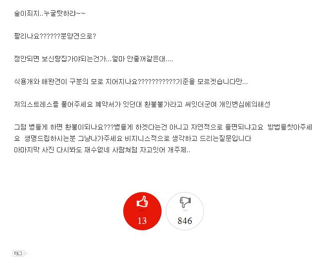 네이트판에 동물 학대글 조사 부탁드립니다