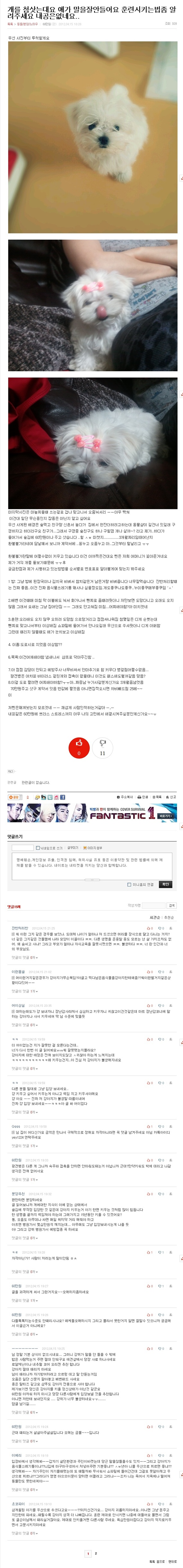 인터넷에 동물학대 글이 올라옵니다!