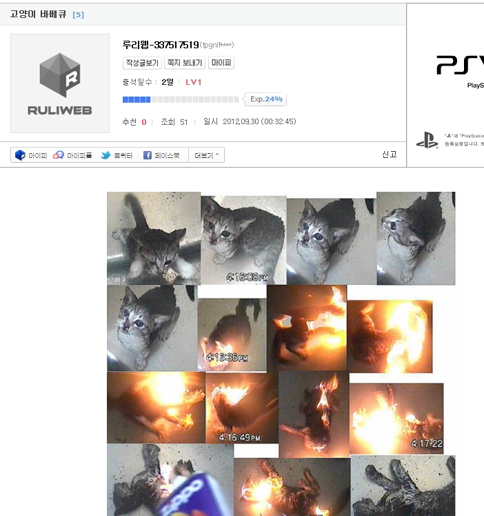 누가 인터넷에 고양이를 불에 태워 죽이는 만행을 찍어 올렸는데요