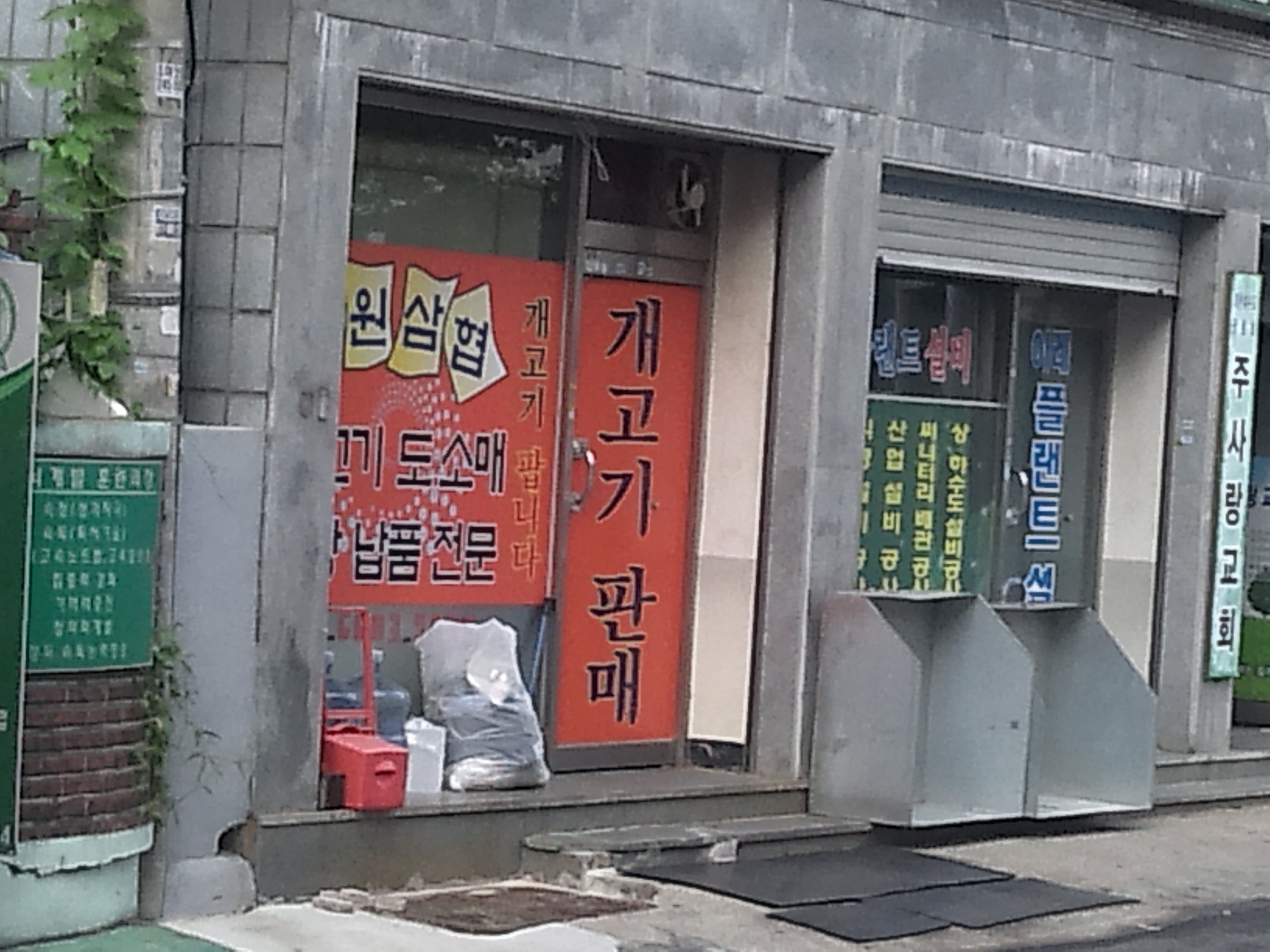 개고기집