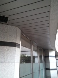 아파트 천장에 갇힌 고양이 구조 부탁
