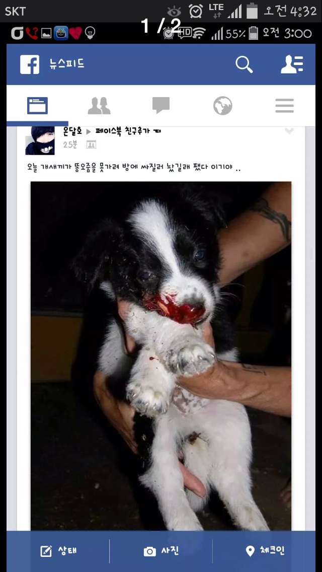 페이스북 학대사진 신고 