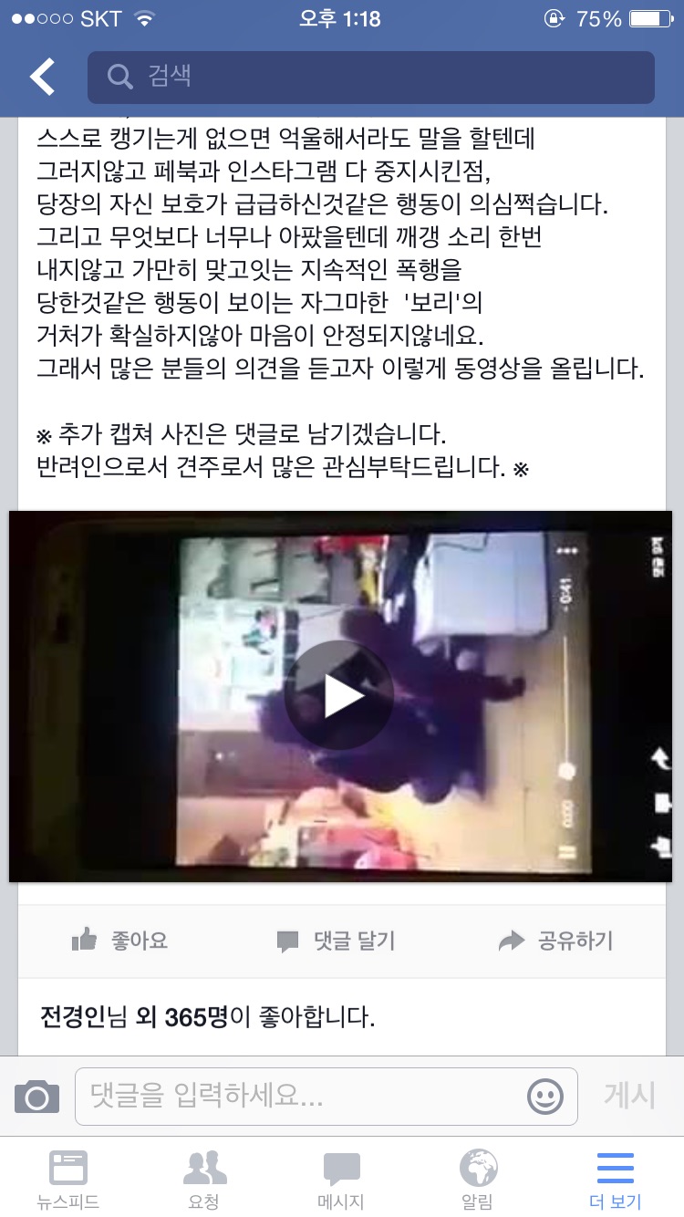 페이스북 동물학대 동영상 신고