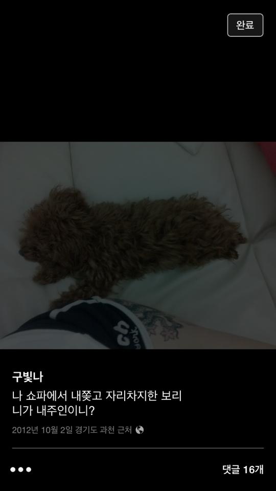 페이스북