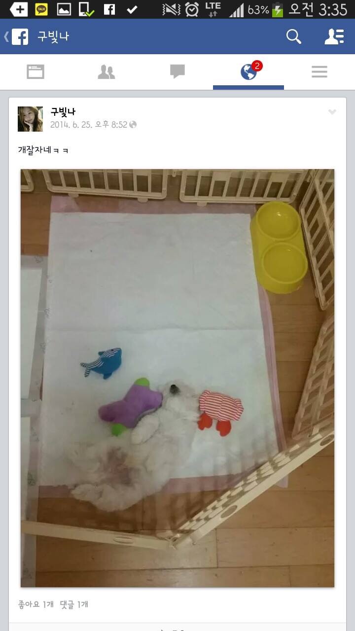 페이스북 동물학대 동영상 신고2