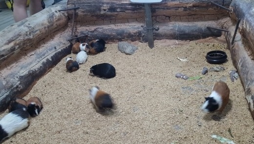문의, 제보 드립니다.