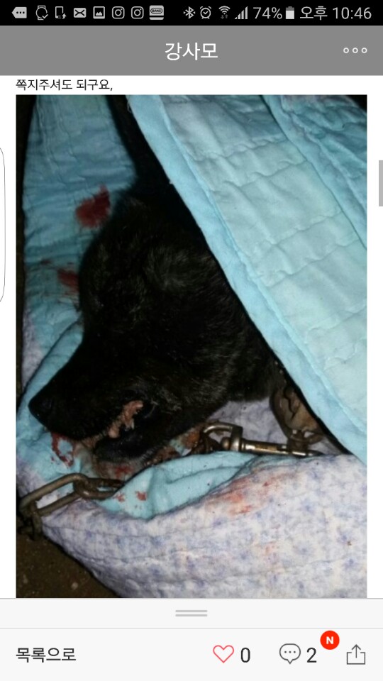 어제 순천에서 망치도살사건이 일어났습니다
