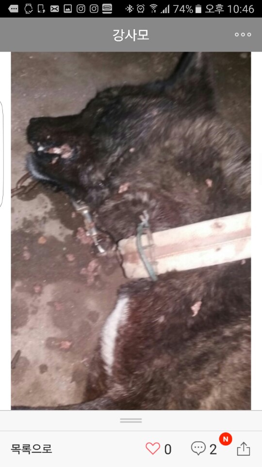 어제 순천에서 망치도살사건이 일어났습니다