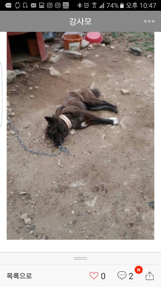 어제 순천에서 망치도살사건이 일어났습니다
