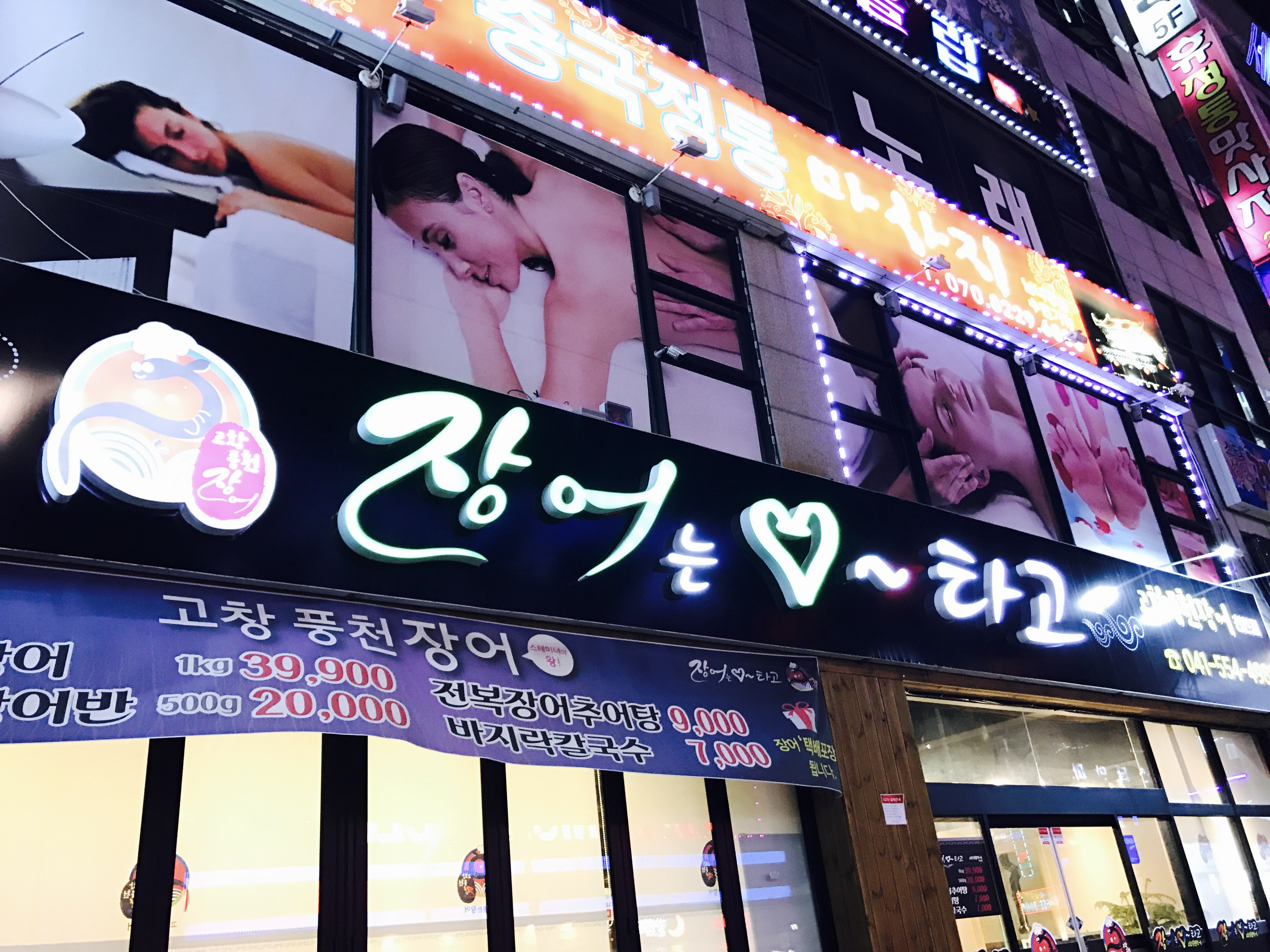 천안 스타나이트 부근..강아지 3마리