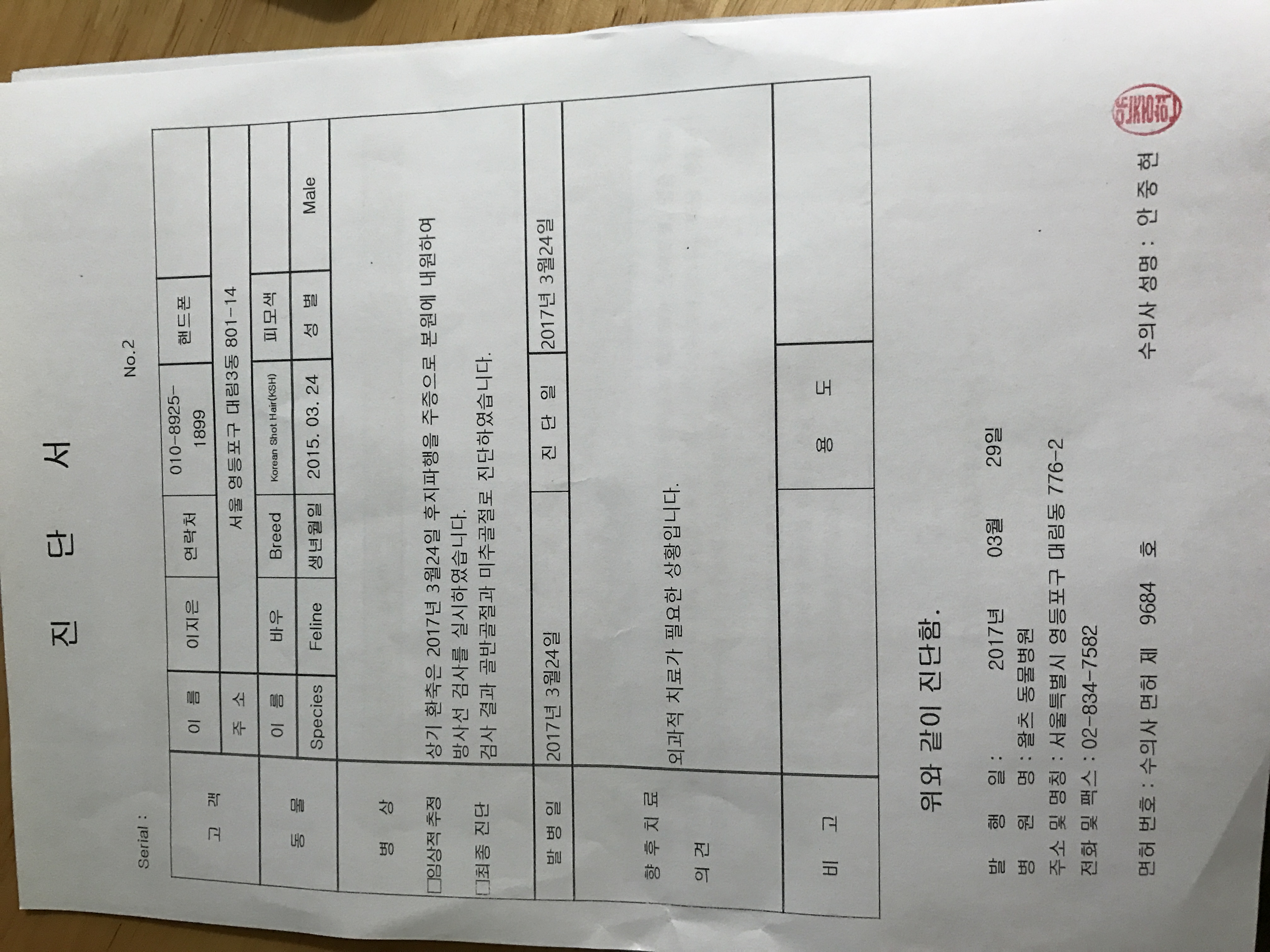 고양이학대로두다리외꼬리가골절되엇어요