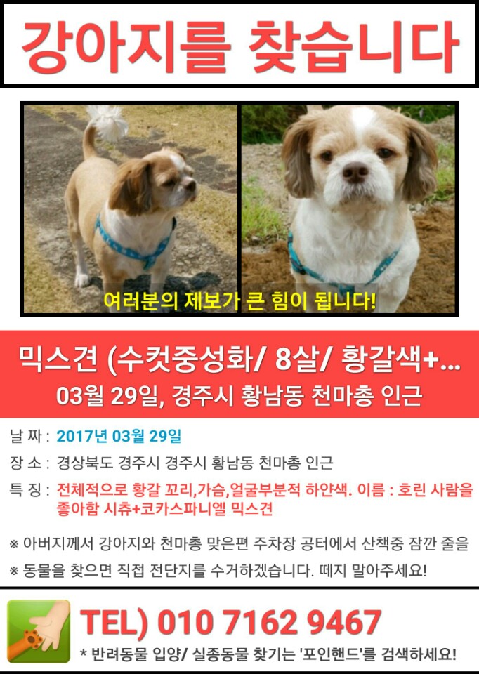 애완견을 납치한후 금품요구 협박을 받고 있습니다..학대이력이 있는 범인입니다 