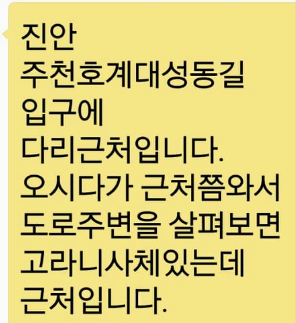 도와주세요 강아지요 ㅠㅠ