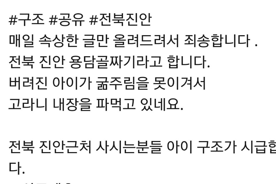도와주세요 강아지요 ㅠㅠ
