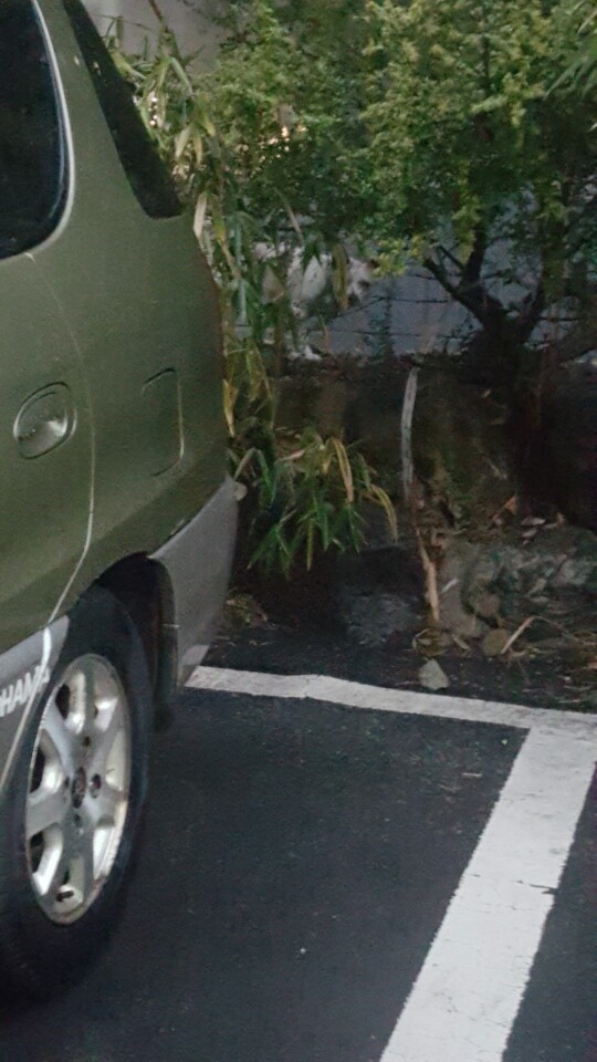 동물방치로 보이는 사례를 보아 신고합니다.