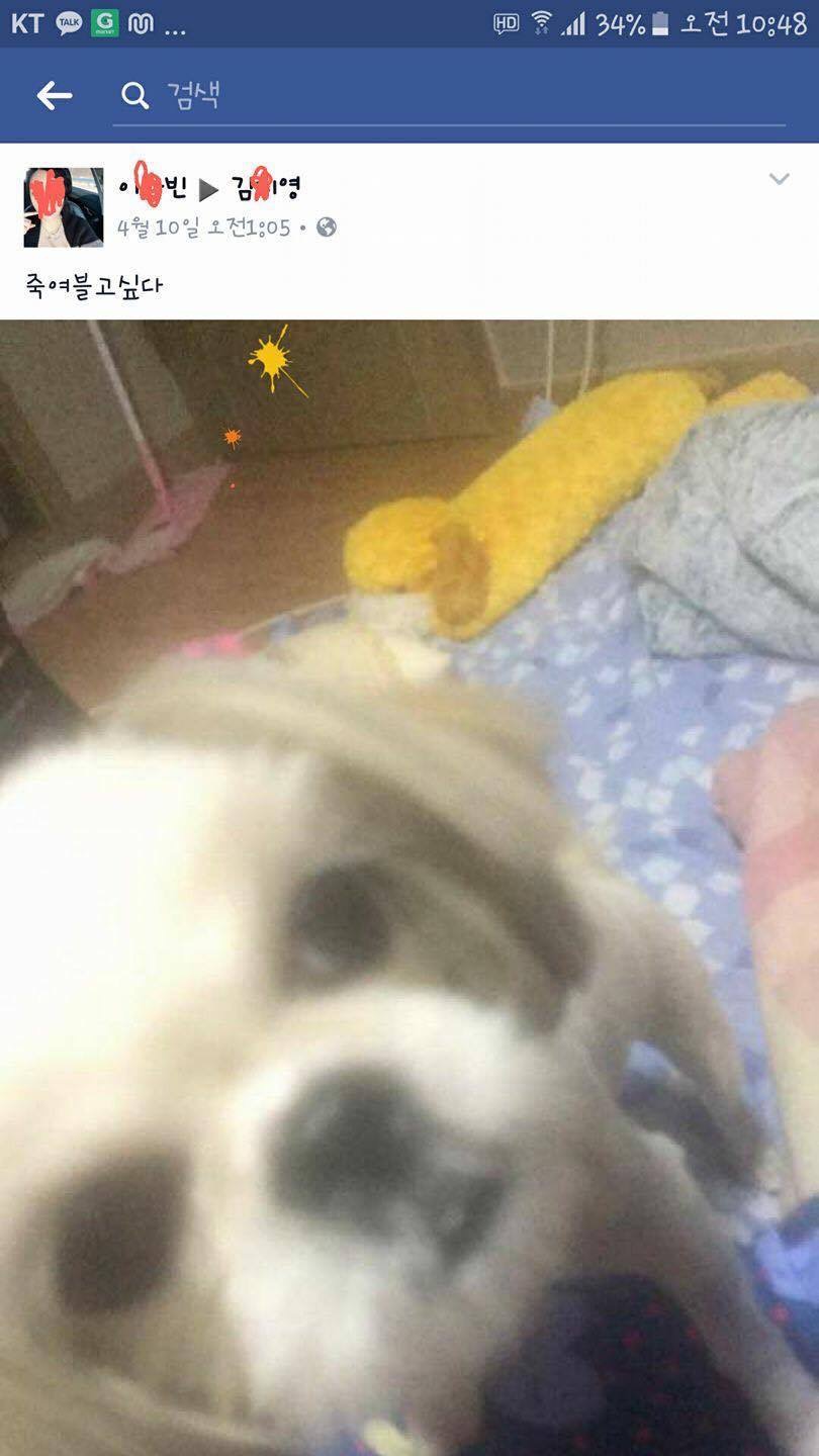 SNS 반려동물 학대 및 안락사 조사해주세요.