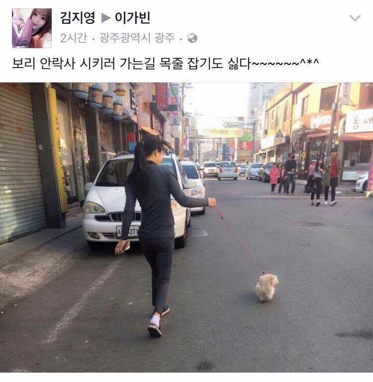 SNS 반려동물 학대 및 안락사 조사해주세요.