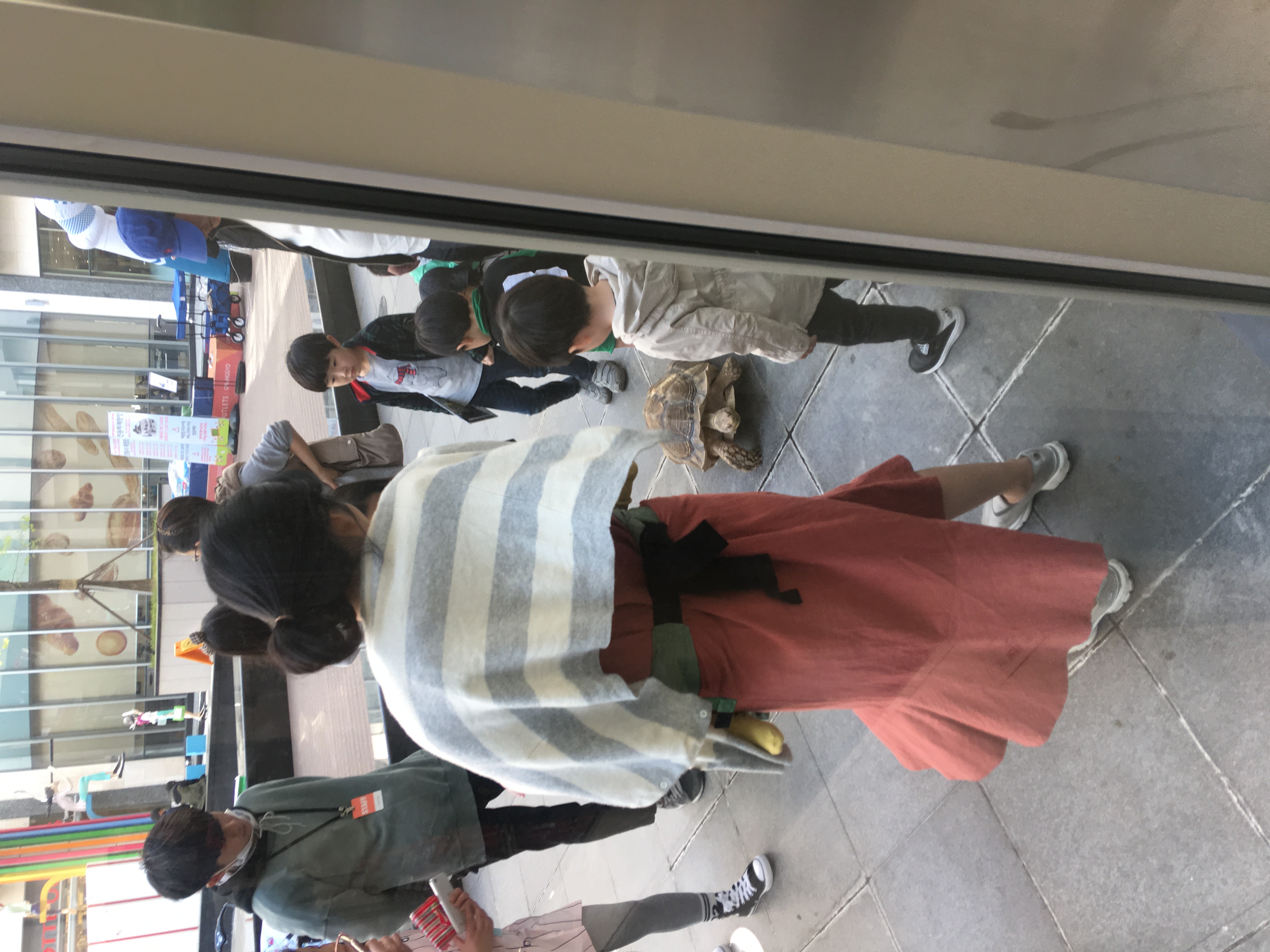 롯데아울렛 광교점 희귀동물체험전