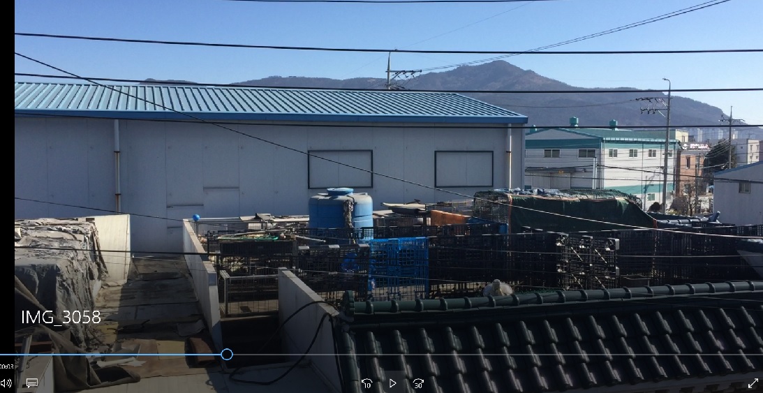 [부산] 1월 말 찍은 영상입니다. 친구네 옆집에 15마리 정도 되는 견사가 있습니다. 케어가 안되는듯 보입니다..