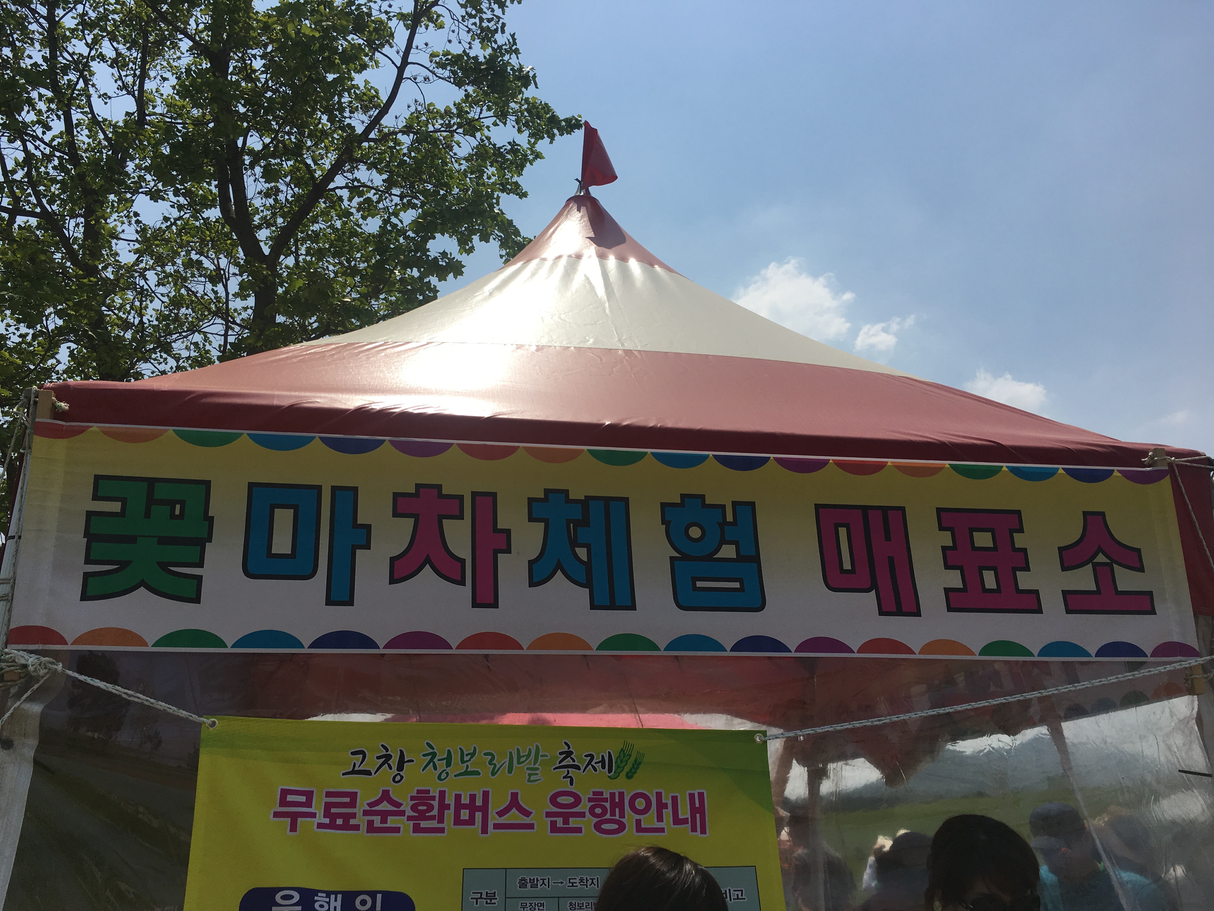고창 청보리밭 축제 마차 영업