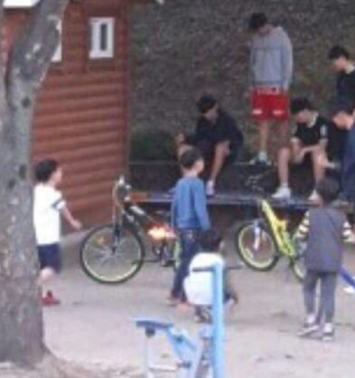 전남 광영동 산채로새끼고양이 불태워죽인사건 신고합니다