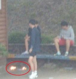 새끼 고양이 불에 태워 죽인 중학생들 신고합니다
