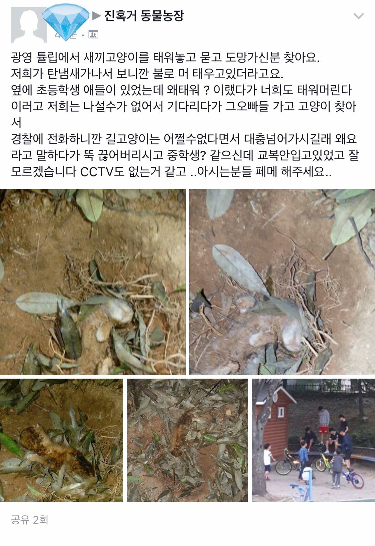 새끼고양이 불태워 죽인 학대범들 신고합니다