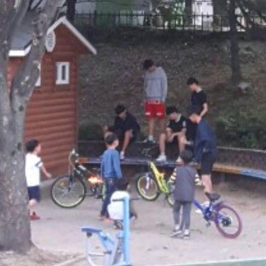 새끼고양이 불태워 죽인 학대범들 신고합니다