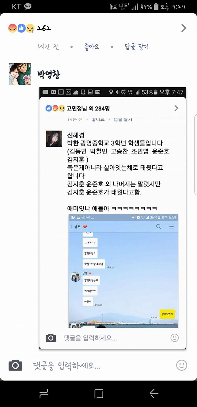새끼고양이 불태워 죽인 학대범들 신고합니다