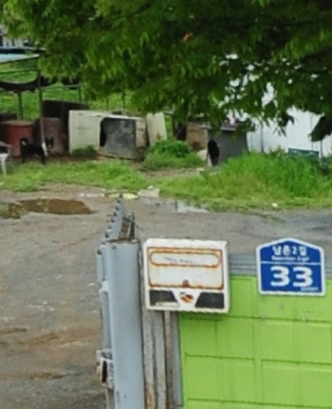 불법 개농장, 개사육장 신고합니다
