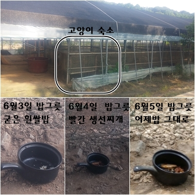 같은건 (9209) 다시 제보합니다.
