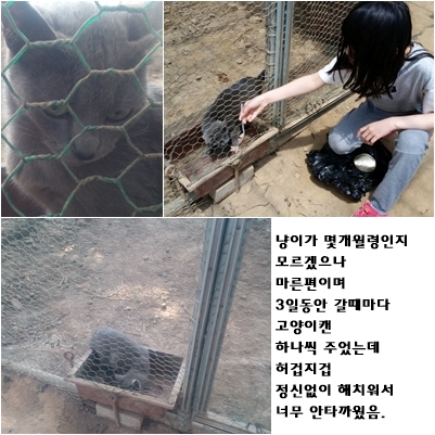같은건 (9209) 다시 제보합니다.