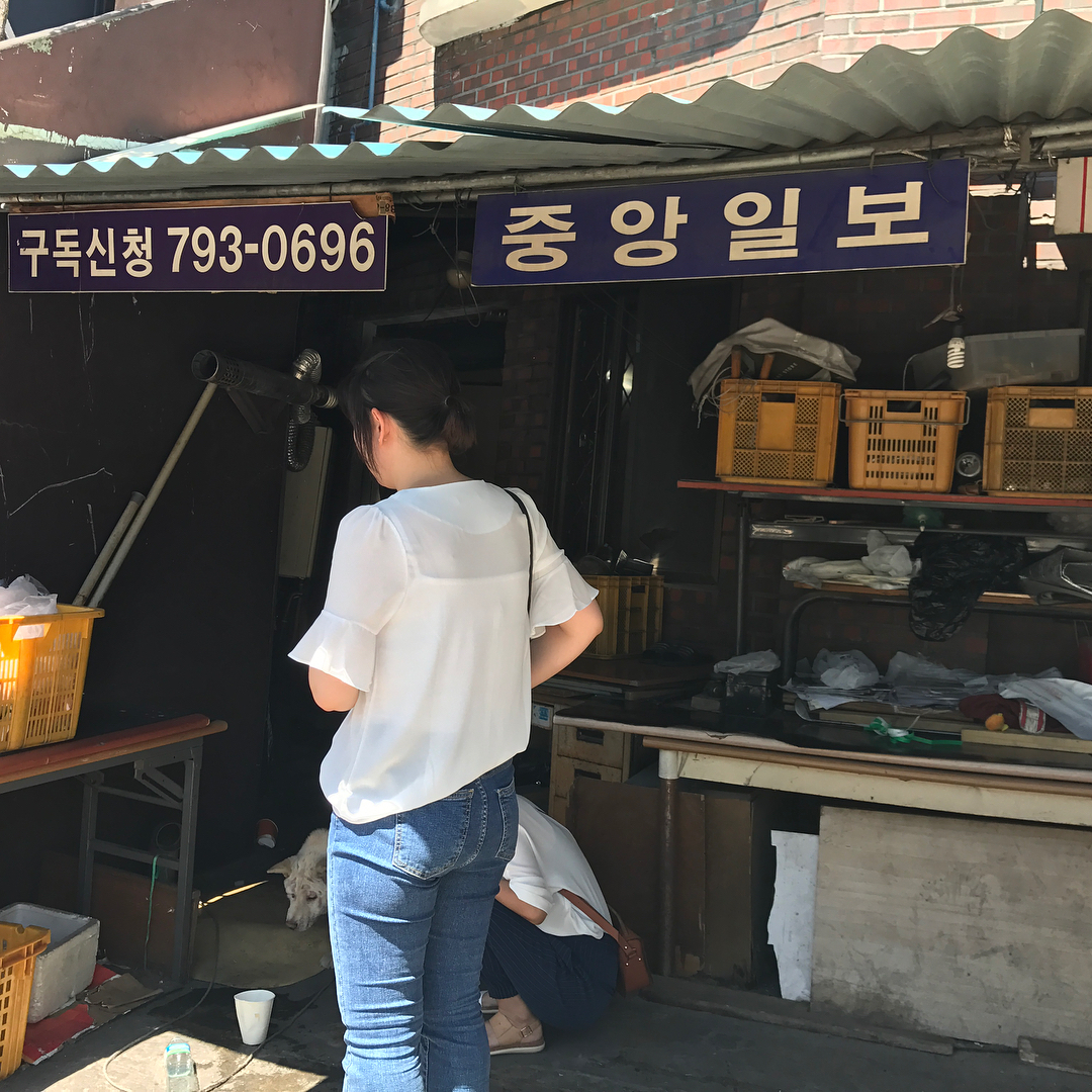 이태원쪽. 눈알이 없는듯하고..피부병 심한방치된 백구