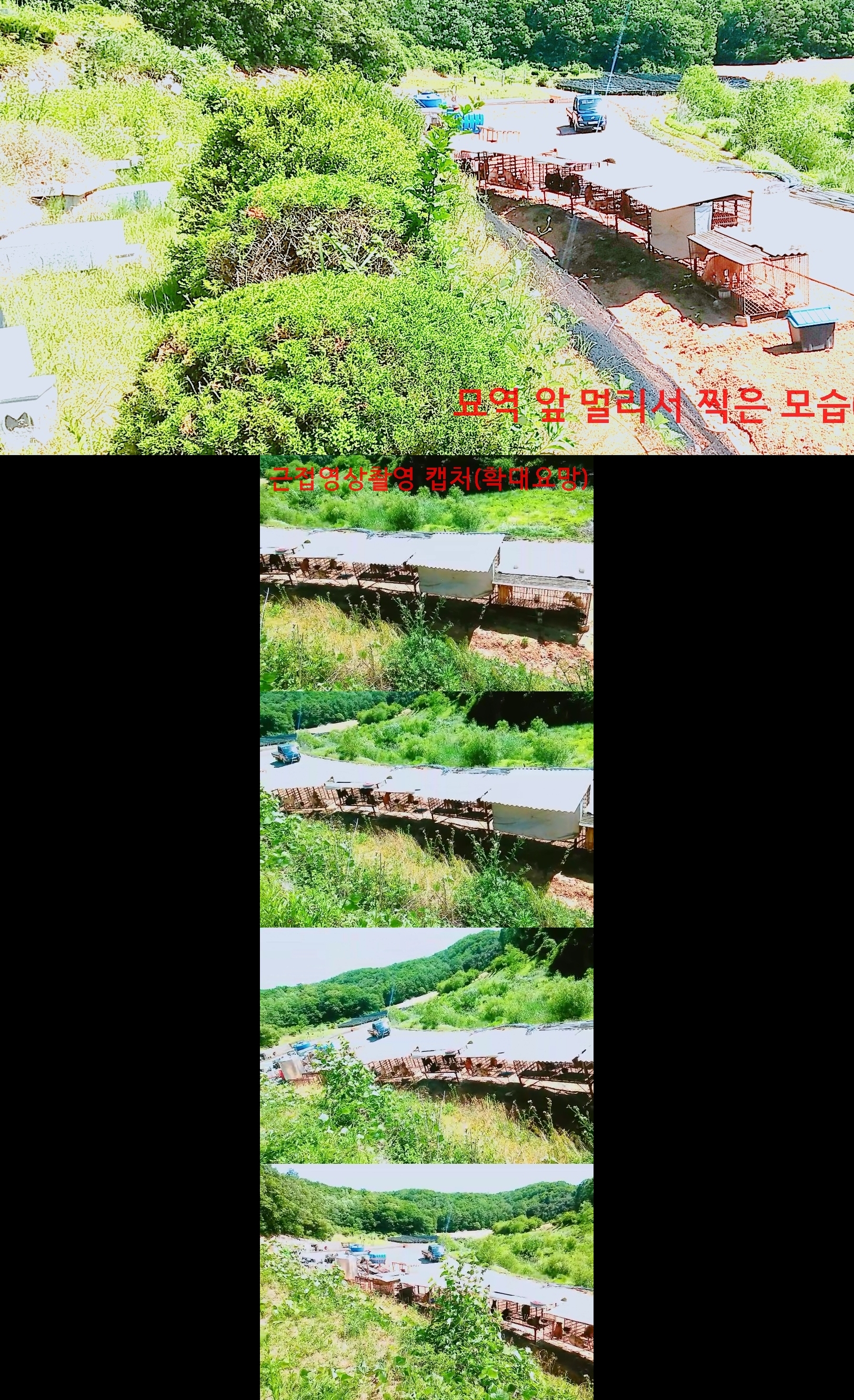불법개농장 제보합니다. (((+++오후4시 민원담당자 방문내용 추가)))