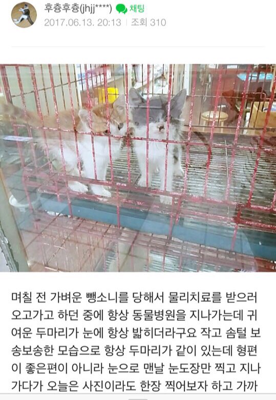경산시 하양읍 대림동물병원 