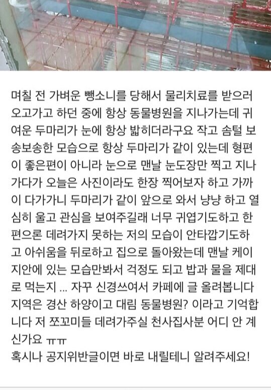 경산시 하양읍 대림동물병원 