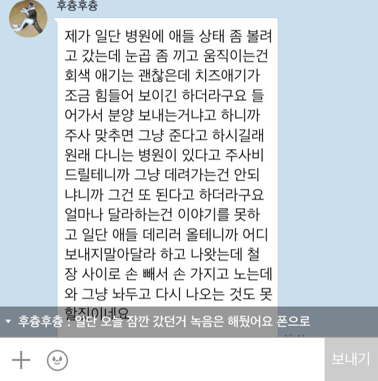 경산시 하양읍 대림동물병원 