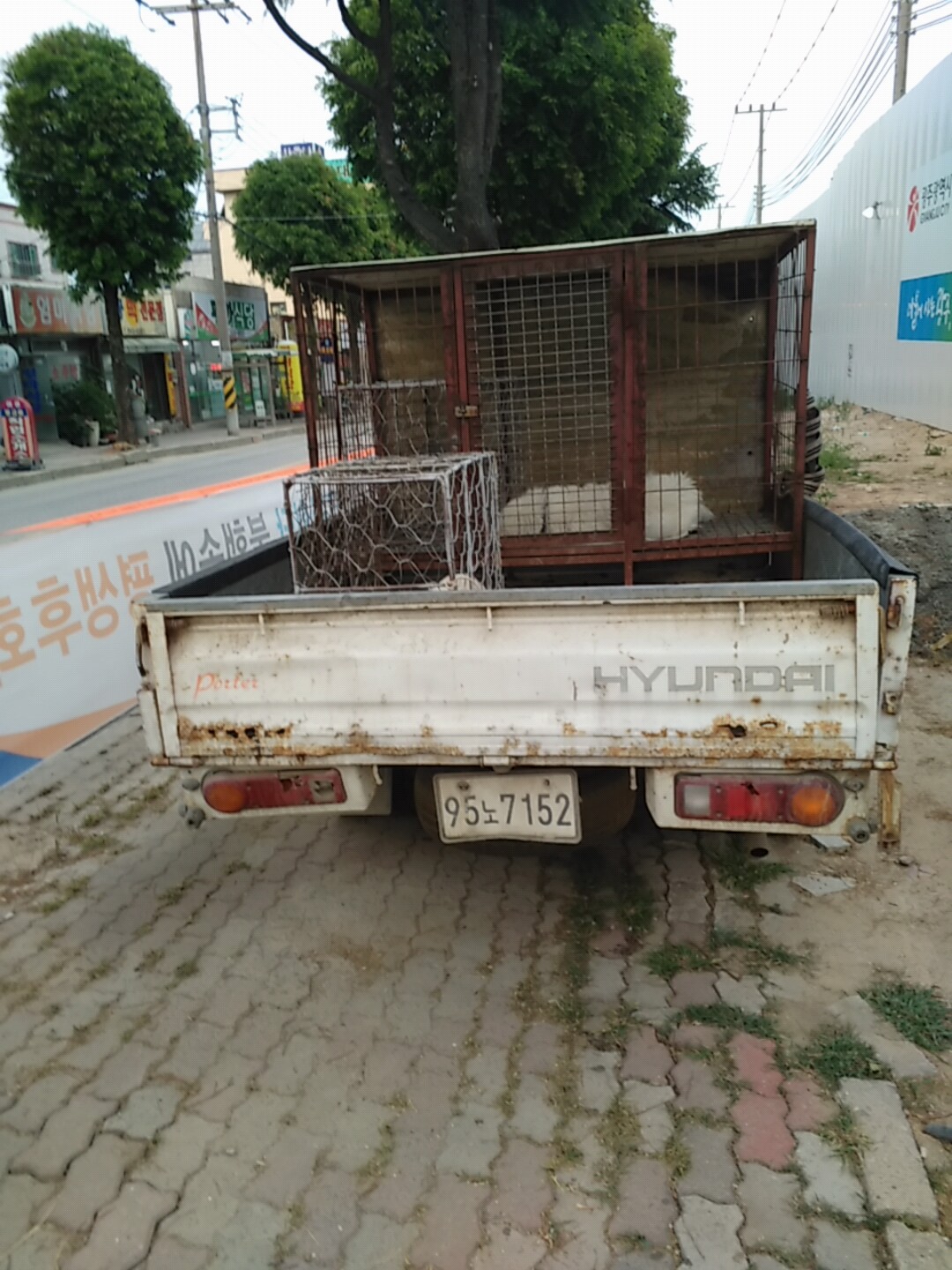 개장수트럭 제보합니다.