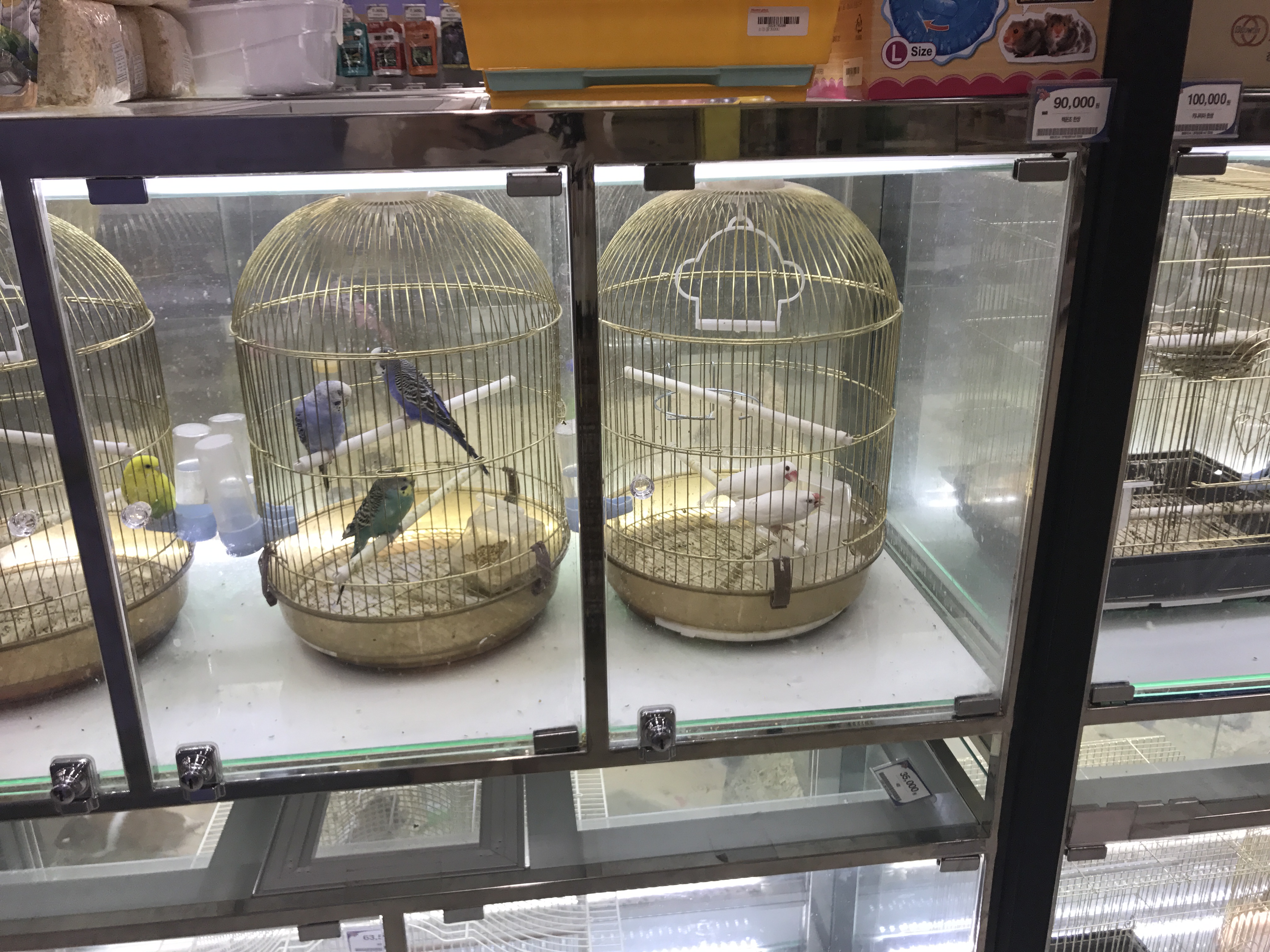 신고합니다