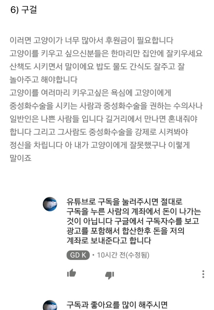 (((사진추가했어요)))유튜버 애니머호더가 수많은 고양이를 심각하게 방치하고 있습니다. 도와주세요.