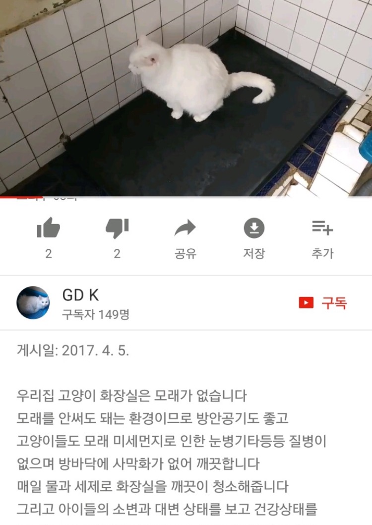 (((사진추가했어요)))유튜버 애니머호더가 수많은 고양이를 심각하게 방치하고 있습니다. 도와주세요.