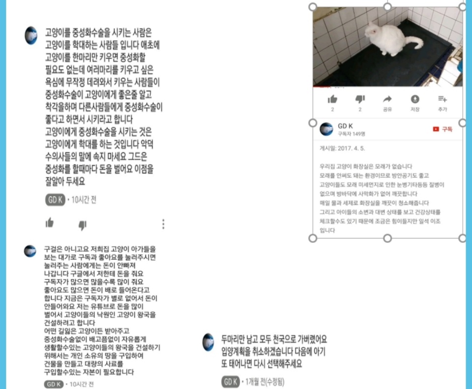 고양이 이용해서 유튜브 수익 올리려는 애니멀호더이자 가정집 고양이공장 유튜버 신고합니다.