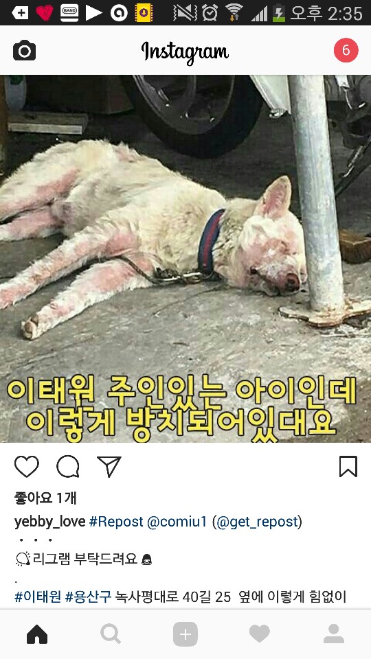 이태원 그때 그..백구 내용이에요 ㅠㅠ