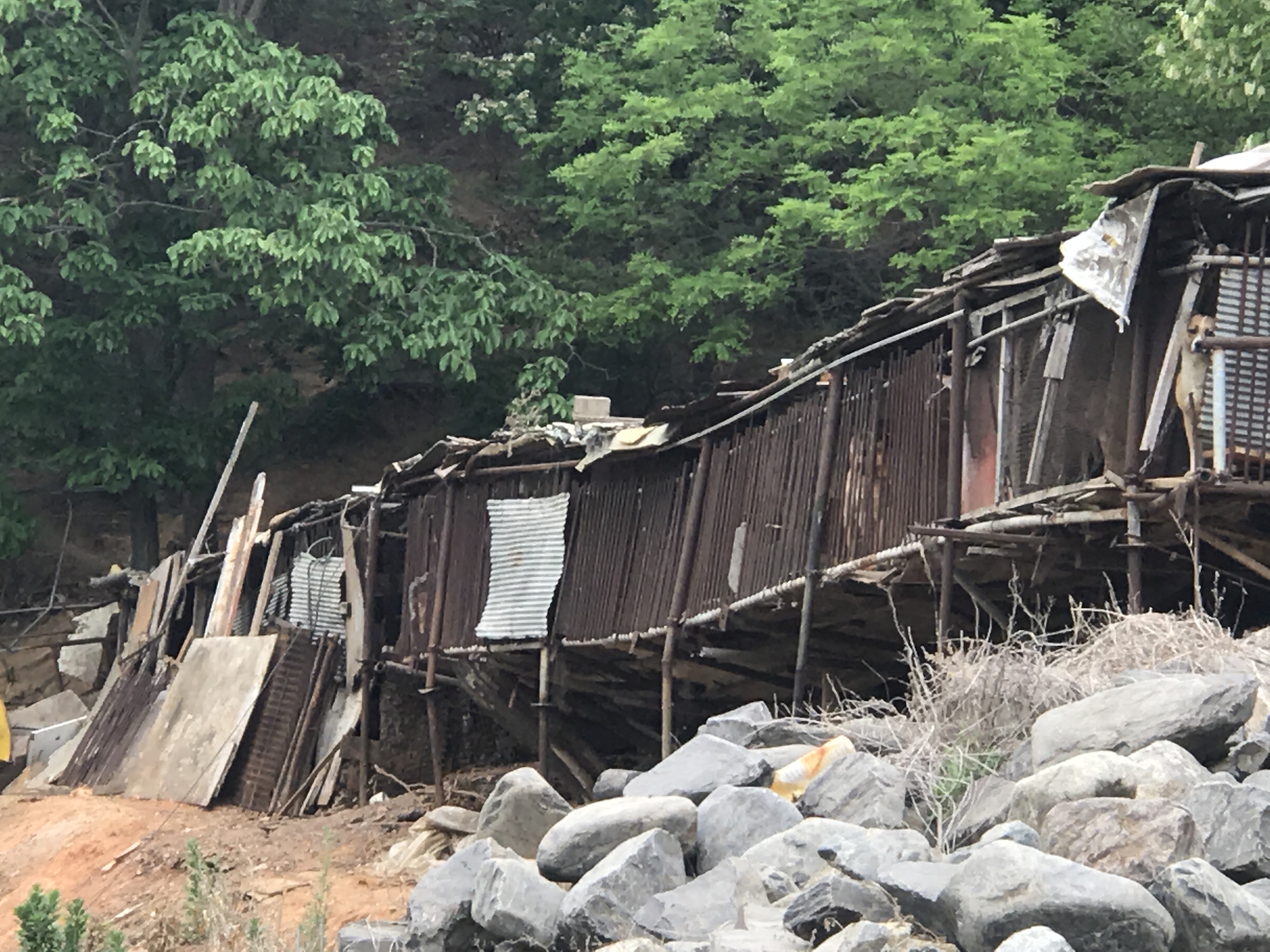 인천 계양산쪽 개장수! 구해주세요