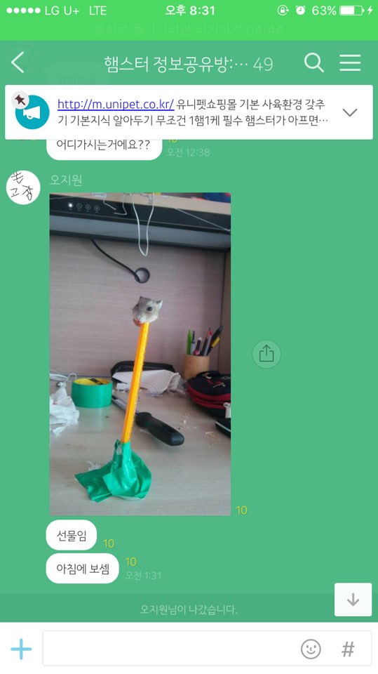 햄스터 학대 사진 유포