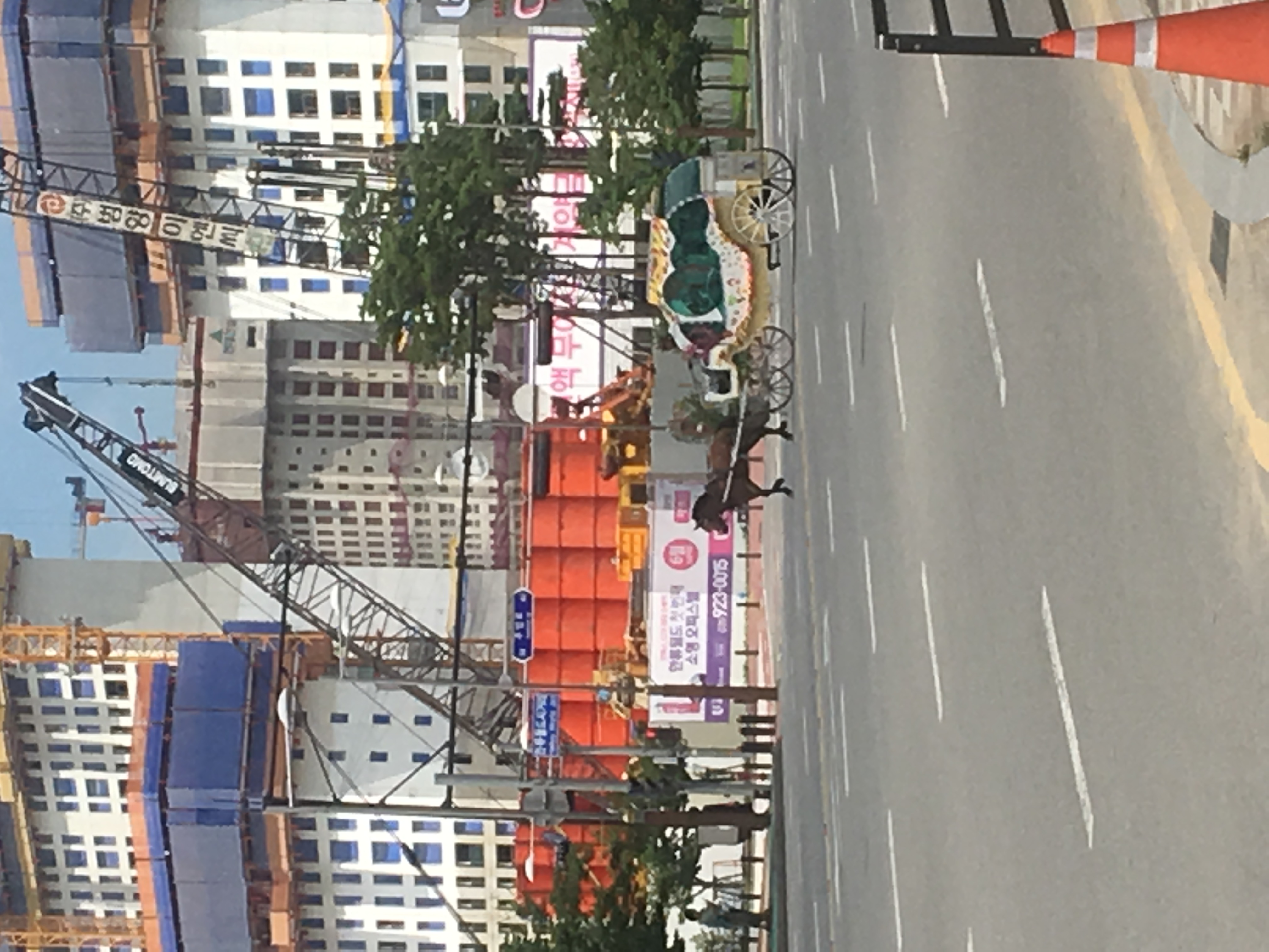 고양시 일산동구 고령의 말 학대 제보합니다