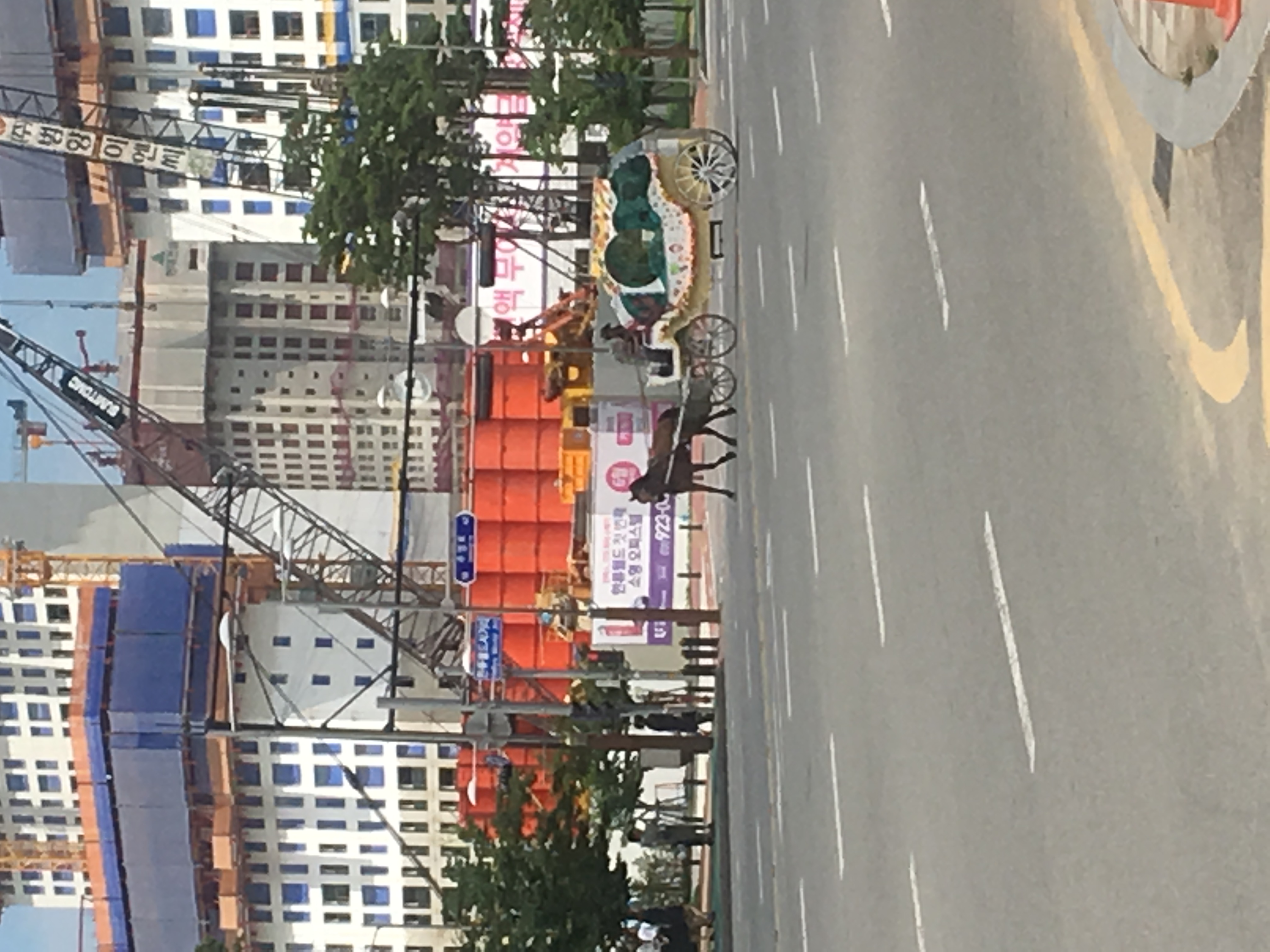 고양시 일산동구 고령의 말 학대 제보합니다