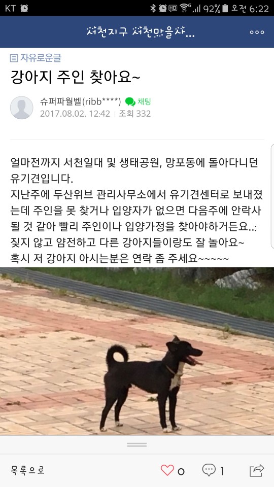 유기견 도와주세요 두살밖에 안됐는데 곧 안락사 시킨대요.............ㅠㅠㅠㅠㅠㅠ