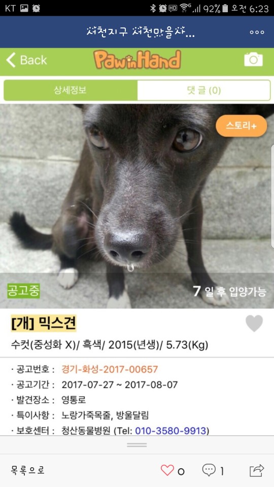 유기견 도와주세요 두살밖에 안됐는데 곧 안락사 시킨대요.............ㅠㅠㅠㅠㅠㅠ