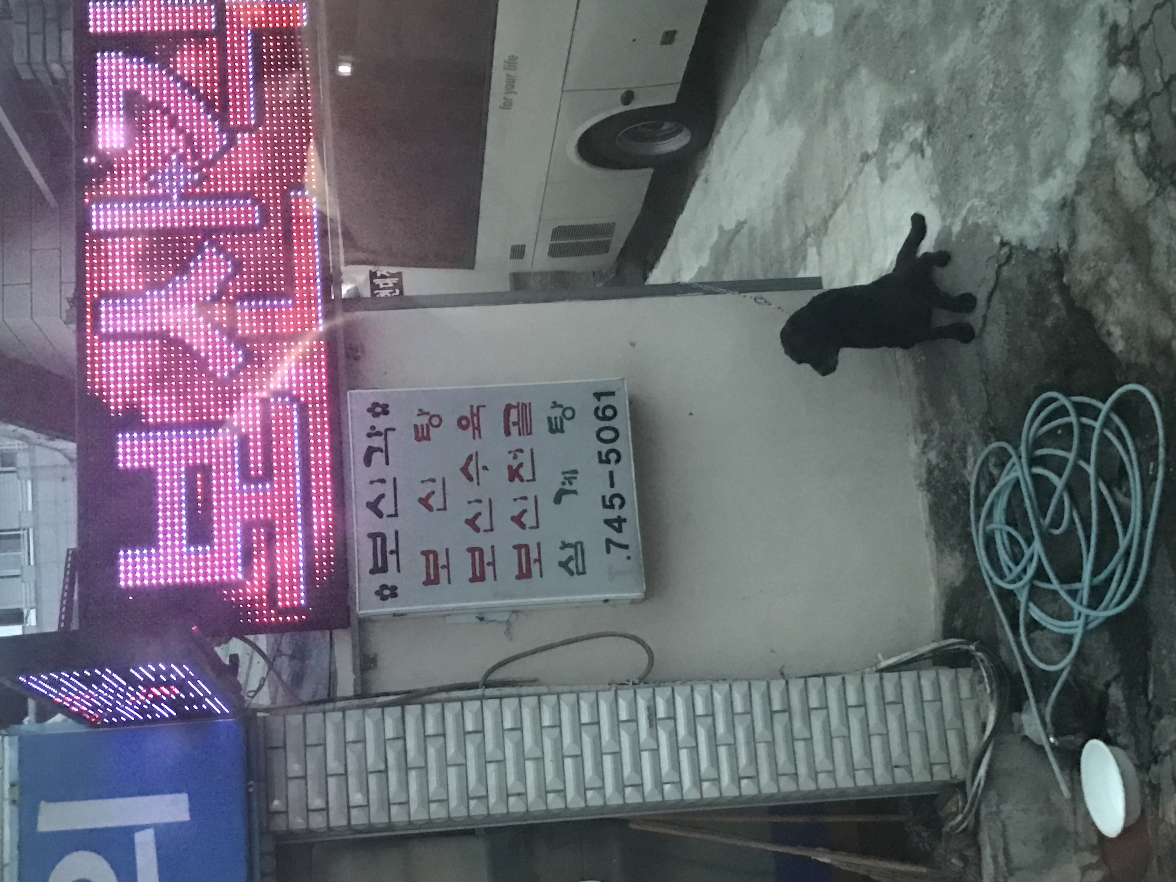 경남 진주시 보신탕집에 묶여있던 개